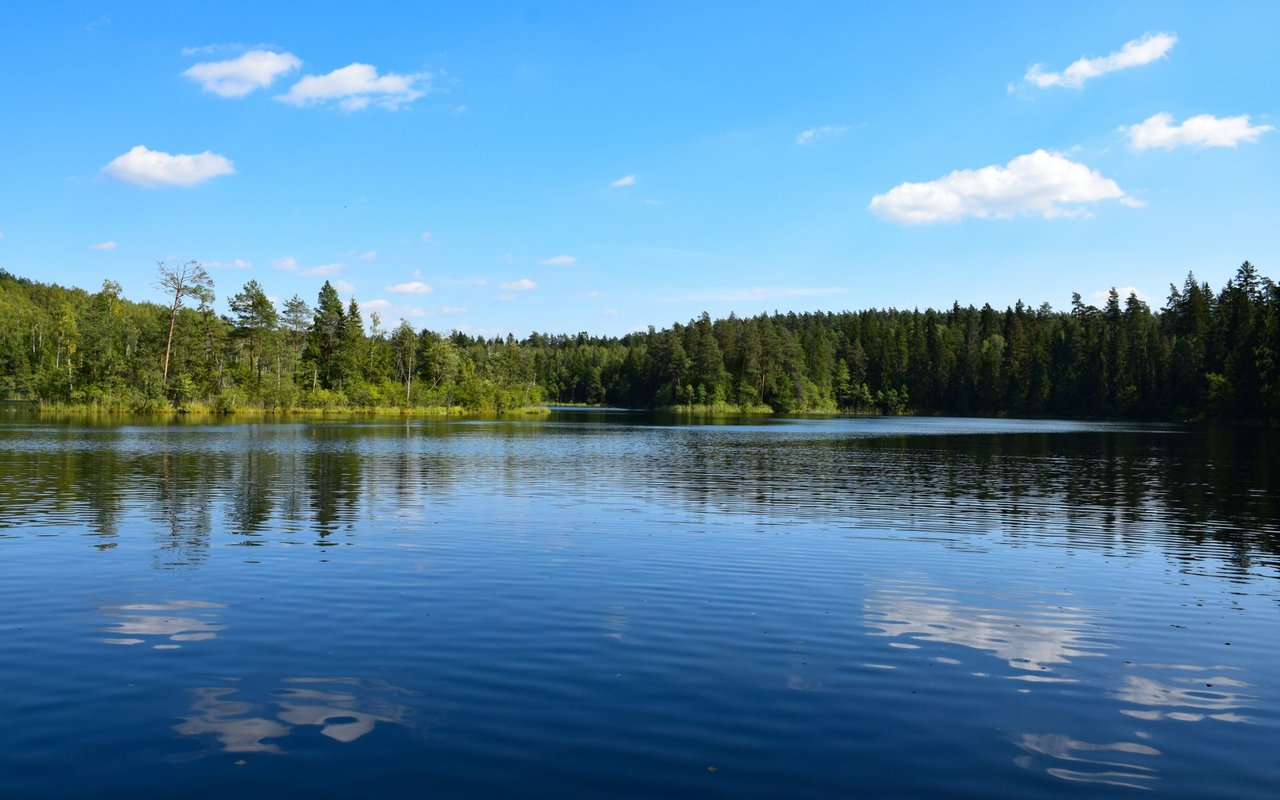 Fox Lake