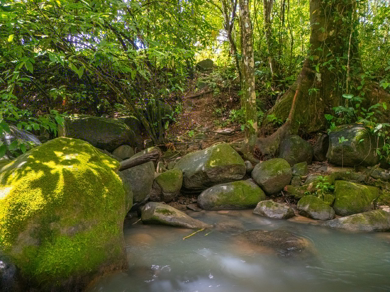 Plant Your Roots at Tierra Bendita! 2.5 Acres, River Frontage, 2 Bedroom Home, Private, Easy Access!