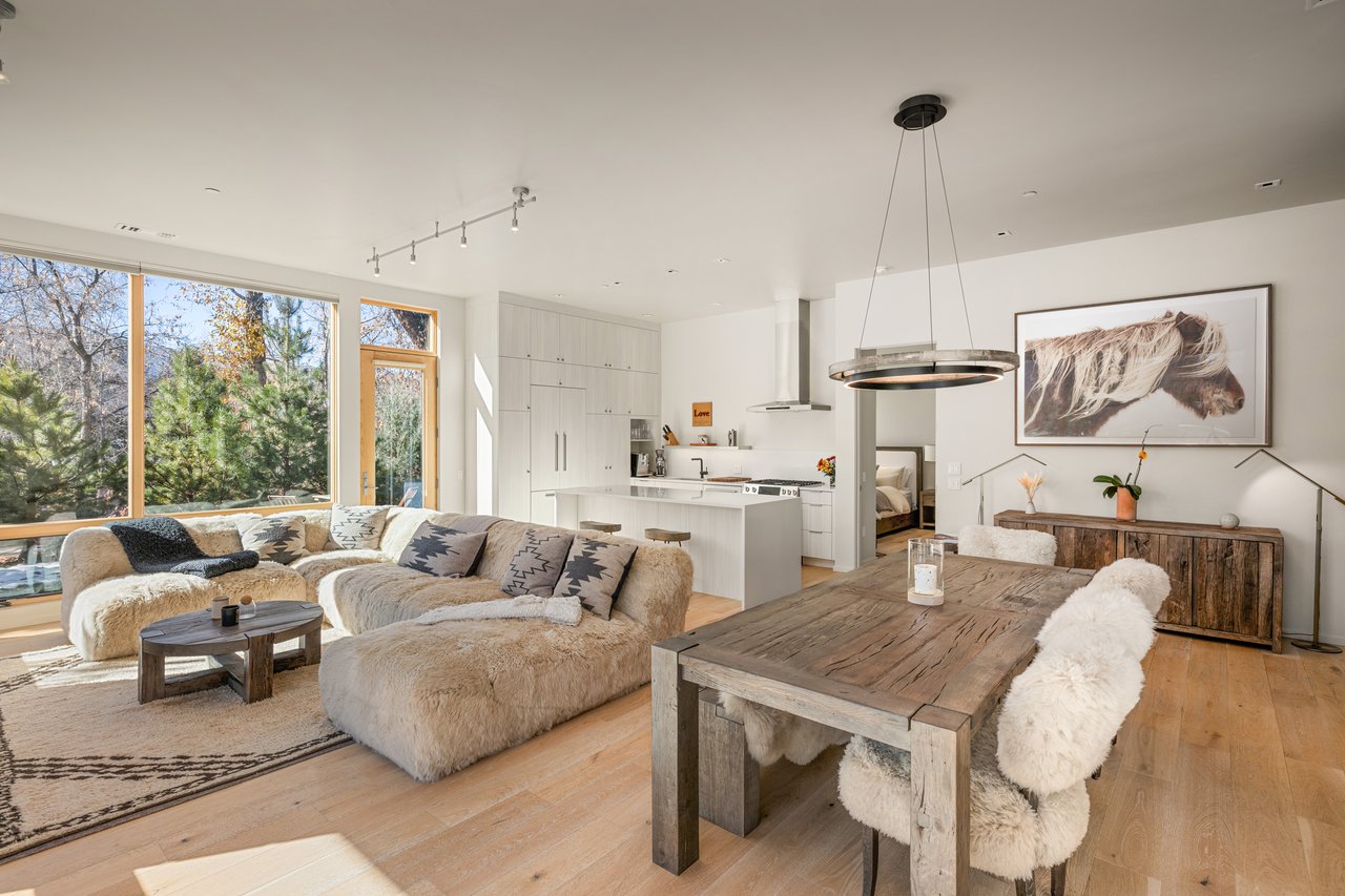 Contemporary Condo at Park Modern