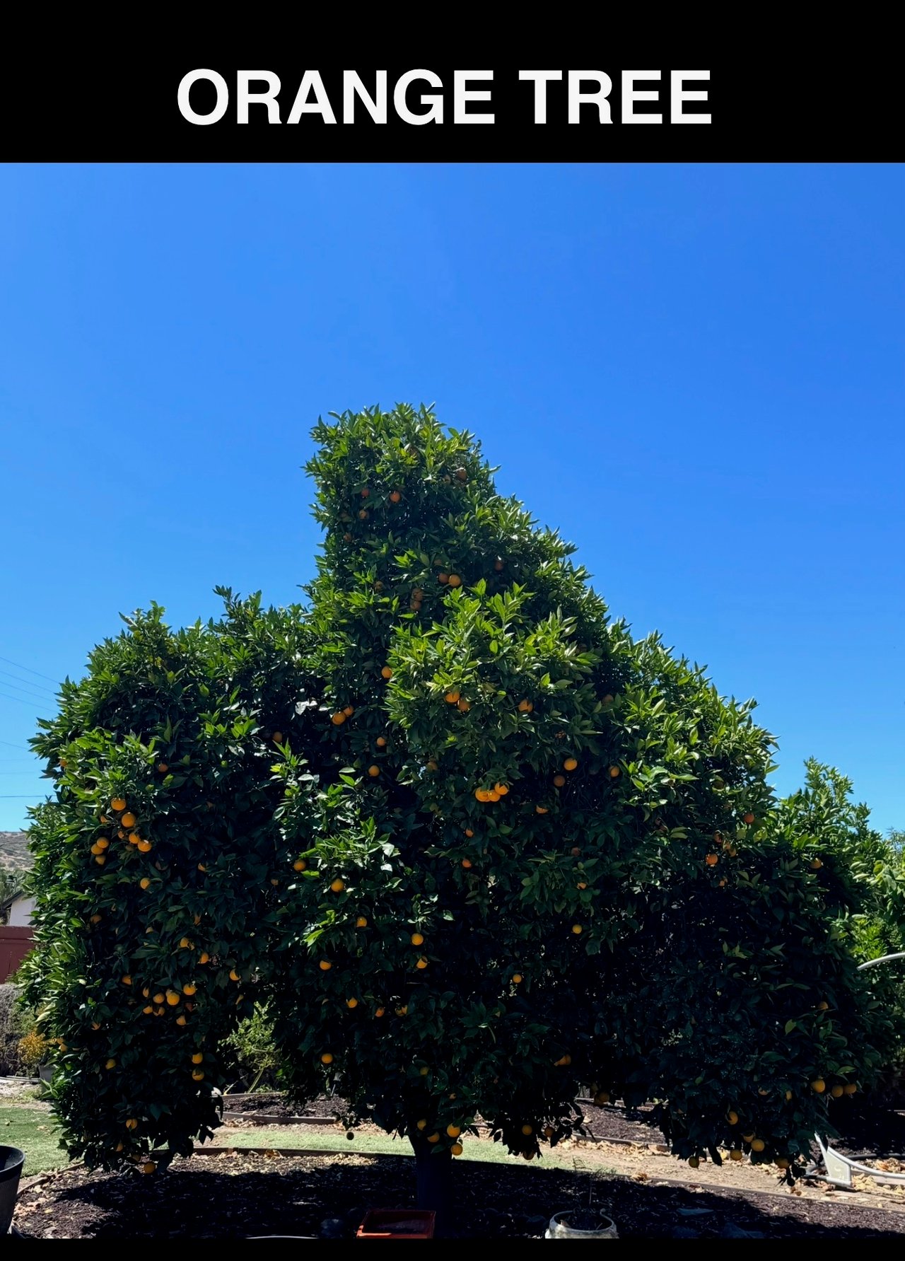 13108 Standish Drive  | Poway