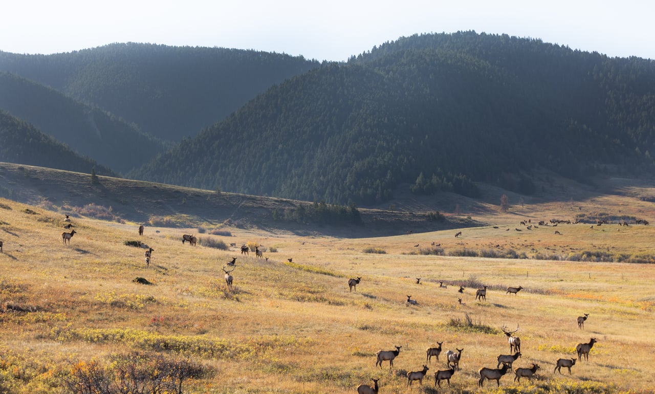 Box Elder Ranch