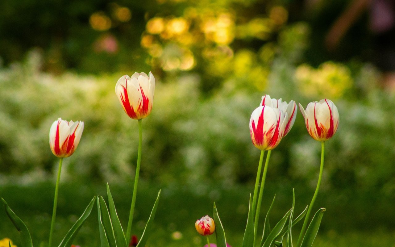 Spring in San Diego: Is Spring the Best Time to Sell a Home in Coastal San Diego?