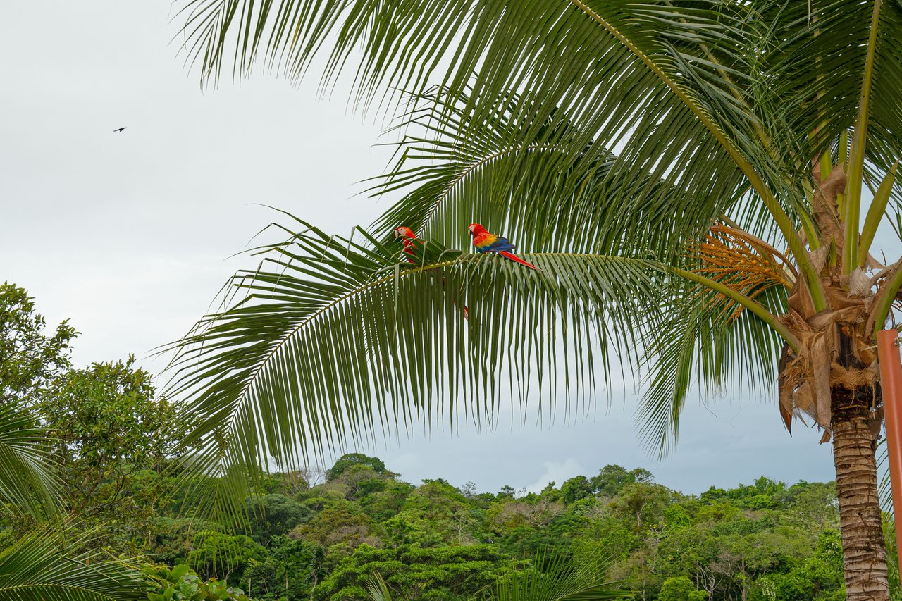 Casa Serenidad, Nature Lover's dream house
