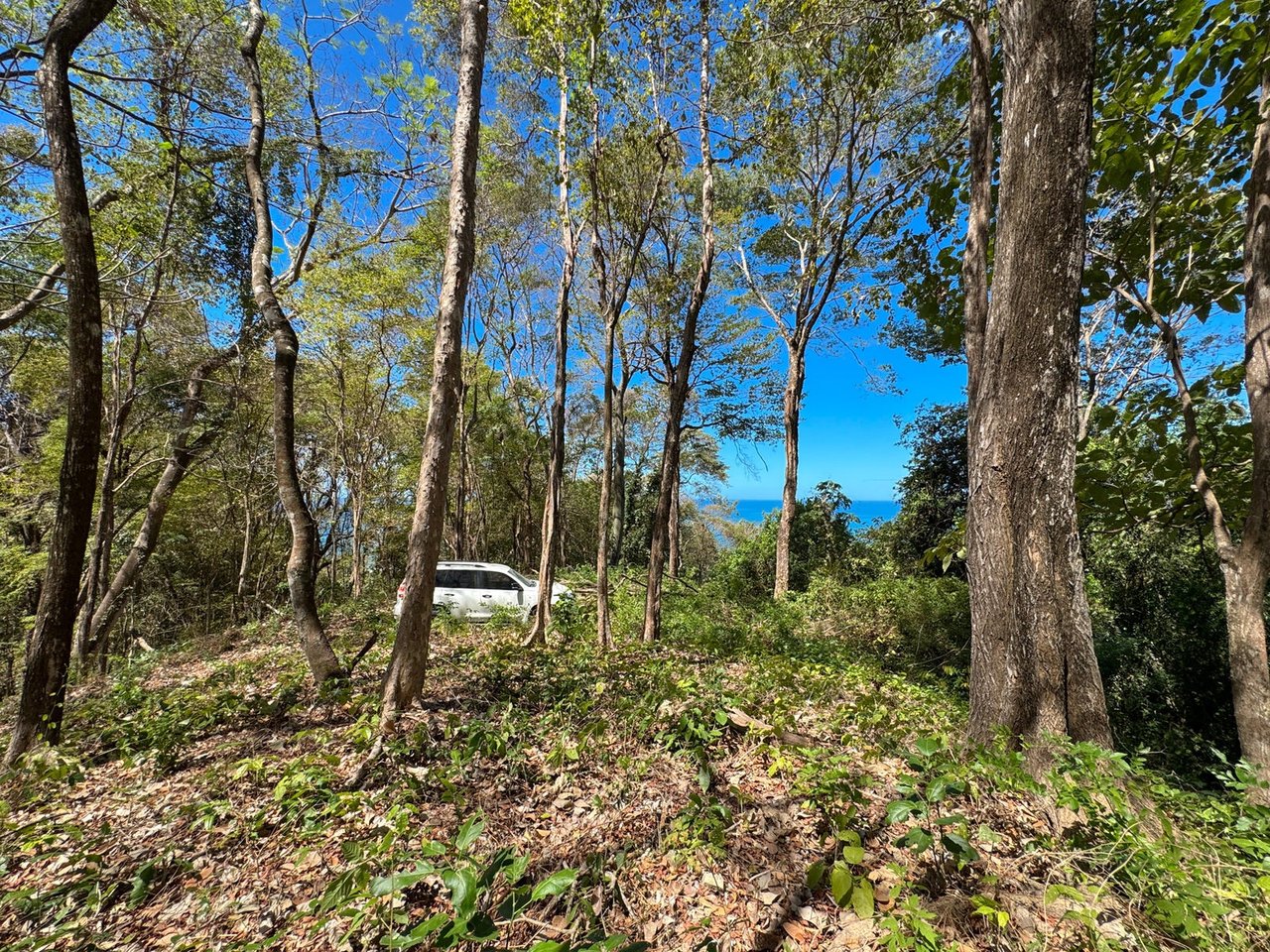 Refined Ocean View Development Parcel, Santa Teresa, Puntarenas