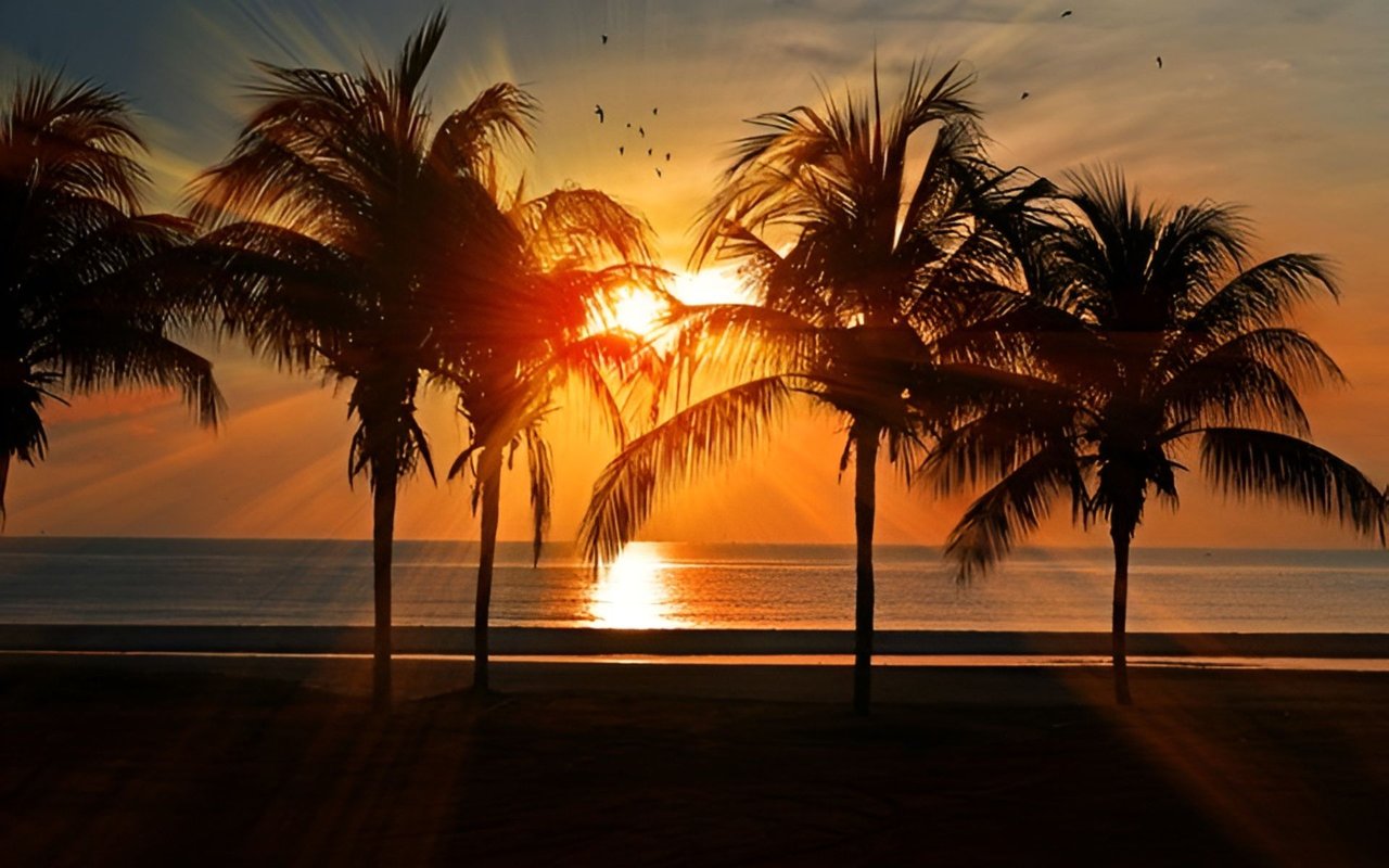 10 Best Beaches Near West Palm Beach