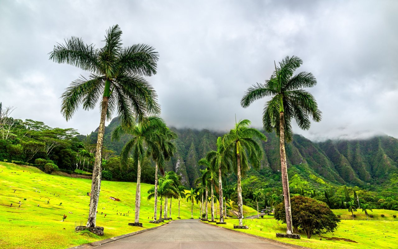 Kaneohe