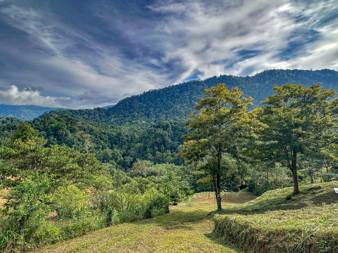 A Huge Rainforest, River & Waterfall Property With TWO Mountain & Jungle-View Luxury Homes on a Massive 4.93 Acre Lot – PLUS an Additional Plantel ready for Development
