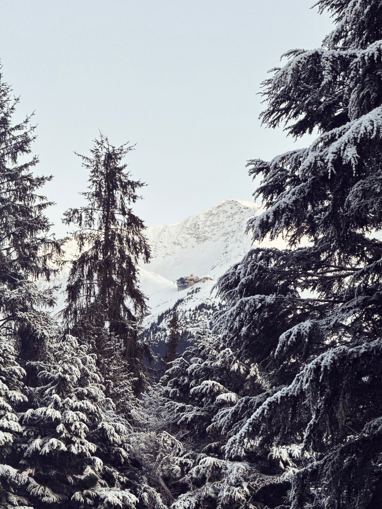 Girdwood