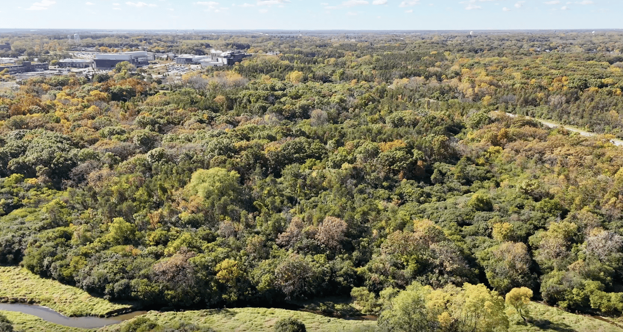 Oak Forest