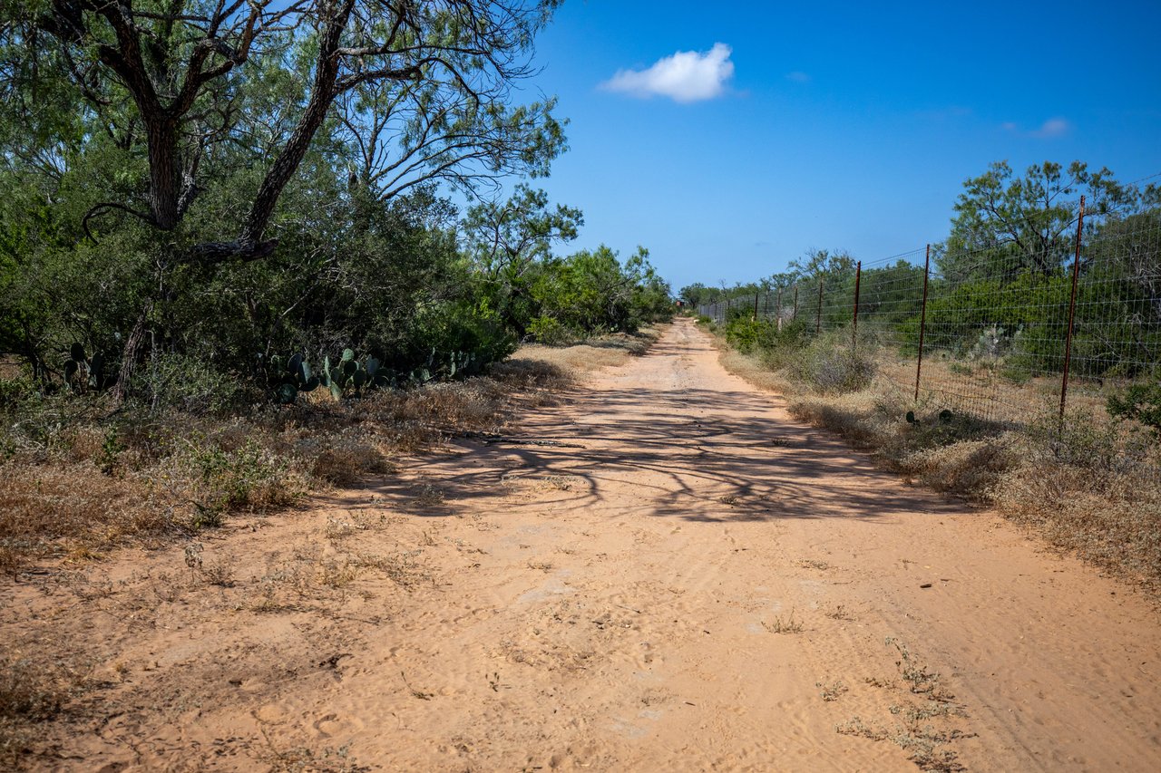 Oaks, Wildlife, & the Quiet of the Countryside | 26.99± Acres | Poteet, TX