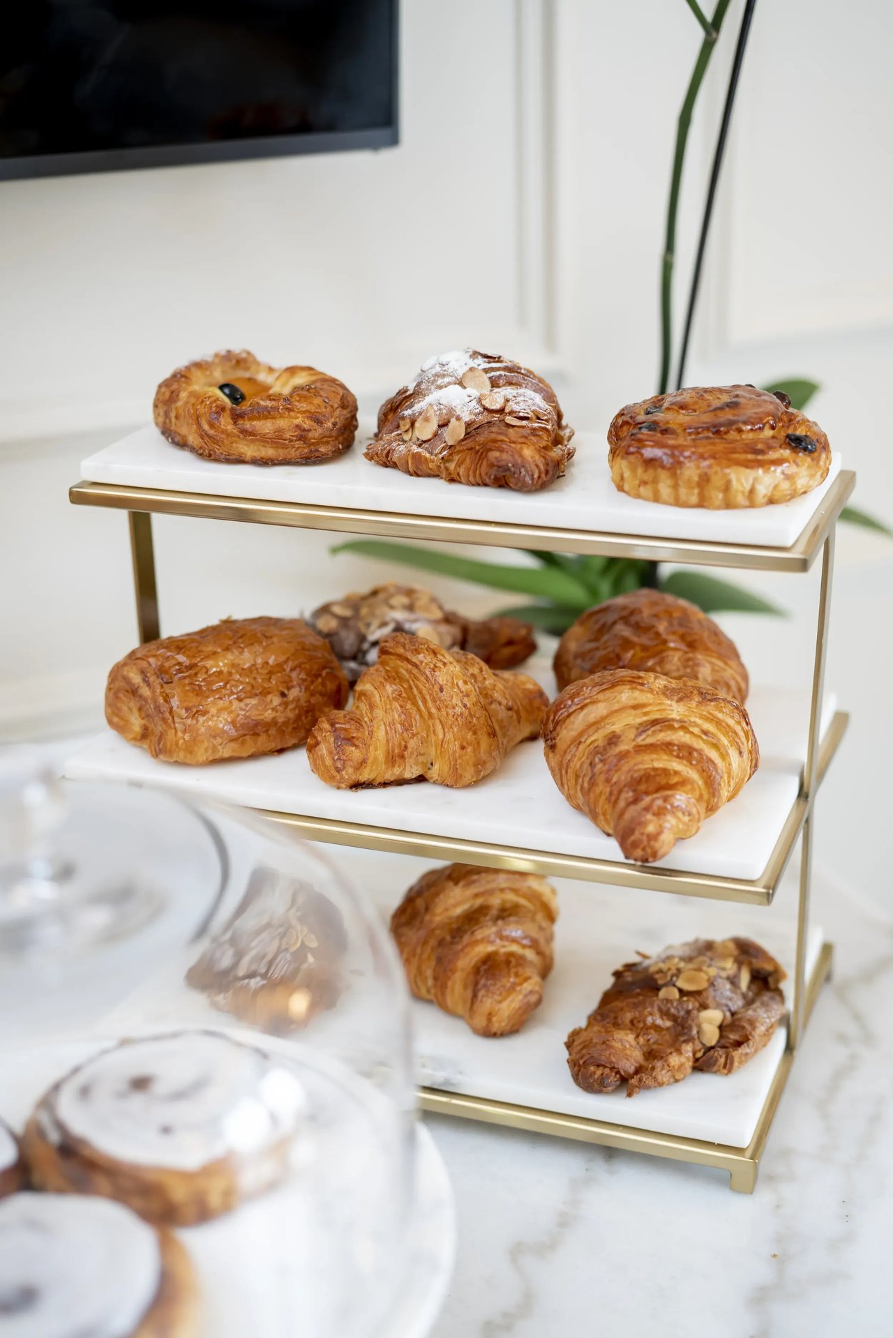 1825 Pandora Ave, #101