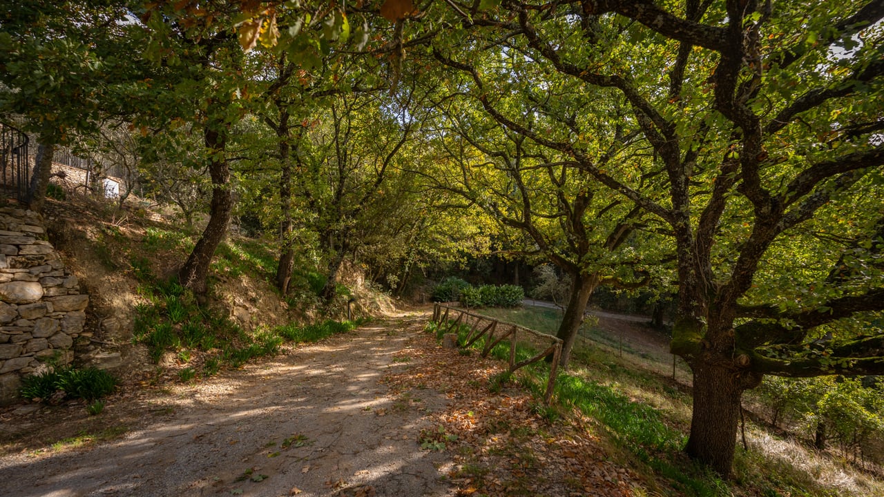 PODERE FONTE PIE'