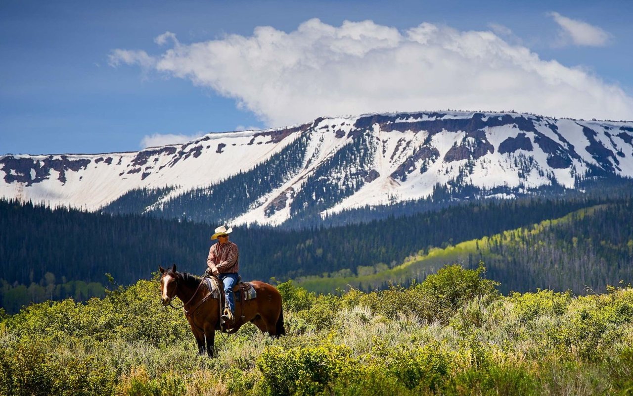 Yampa