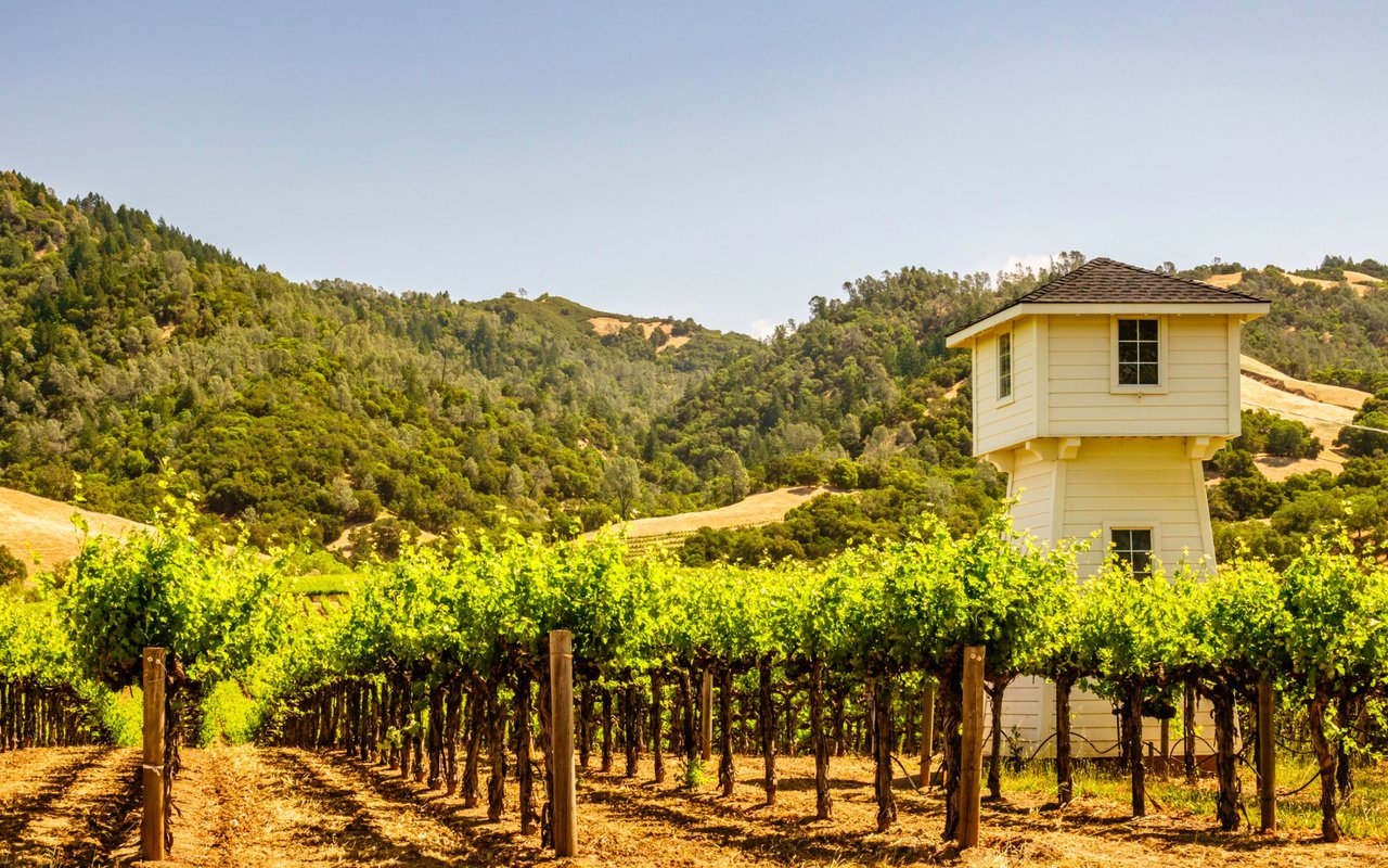 Sonoma County