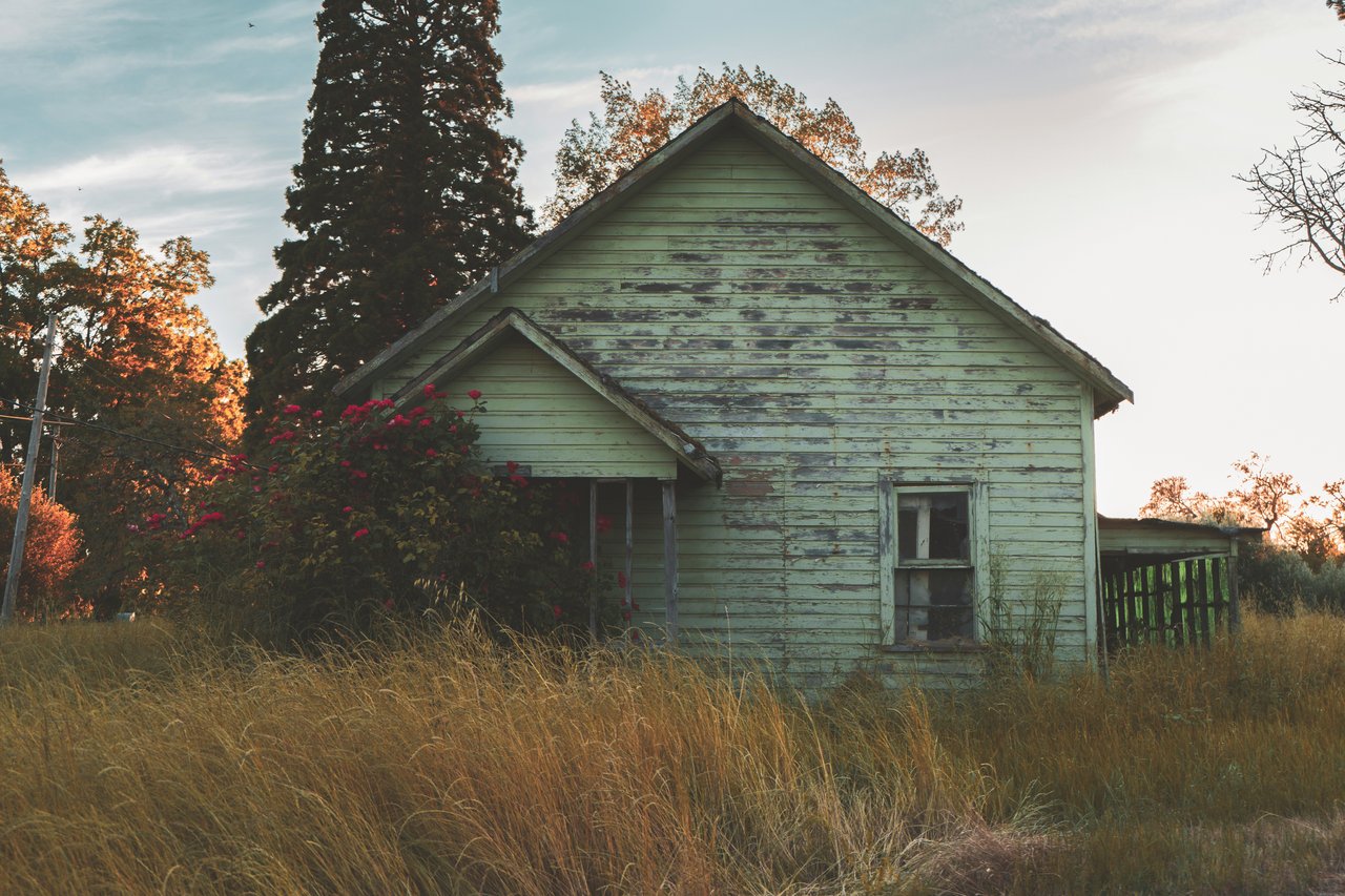 Weathered green house amid tall grass, with red flowers by the entrance.