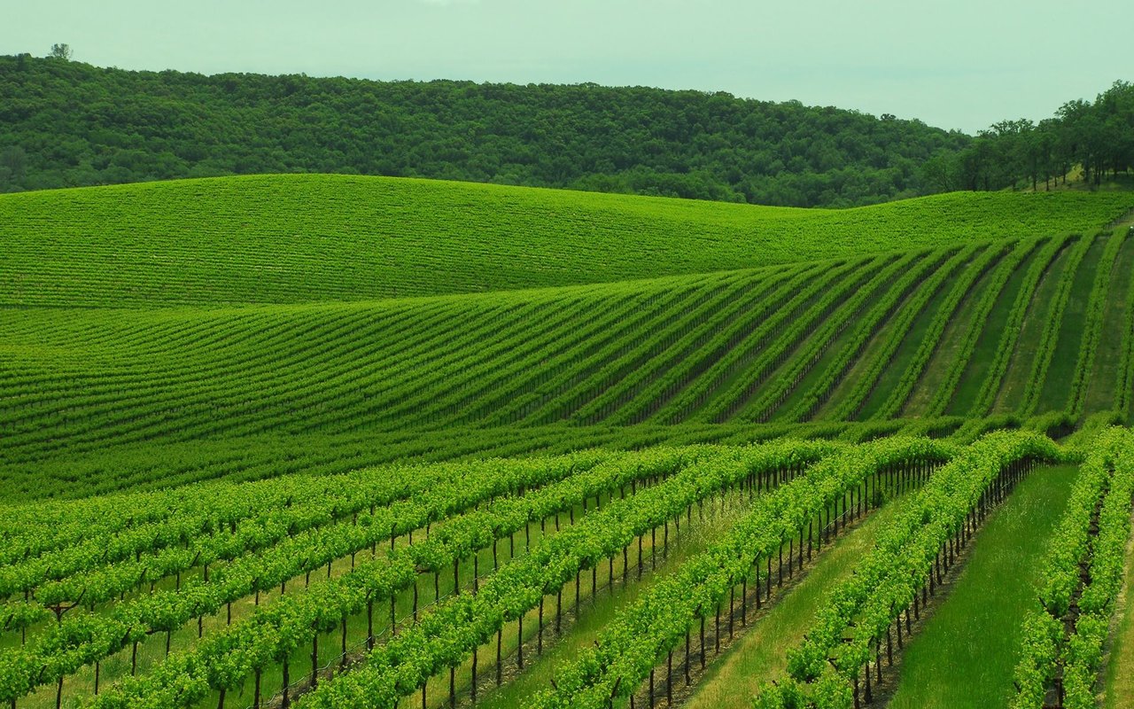 Healdsburg (Sonoma)
