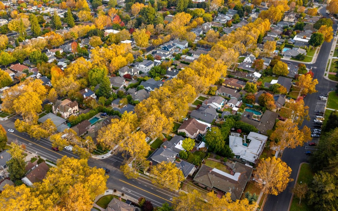 Willow Glen