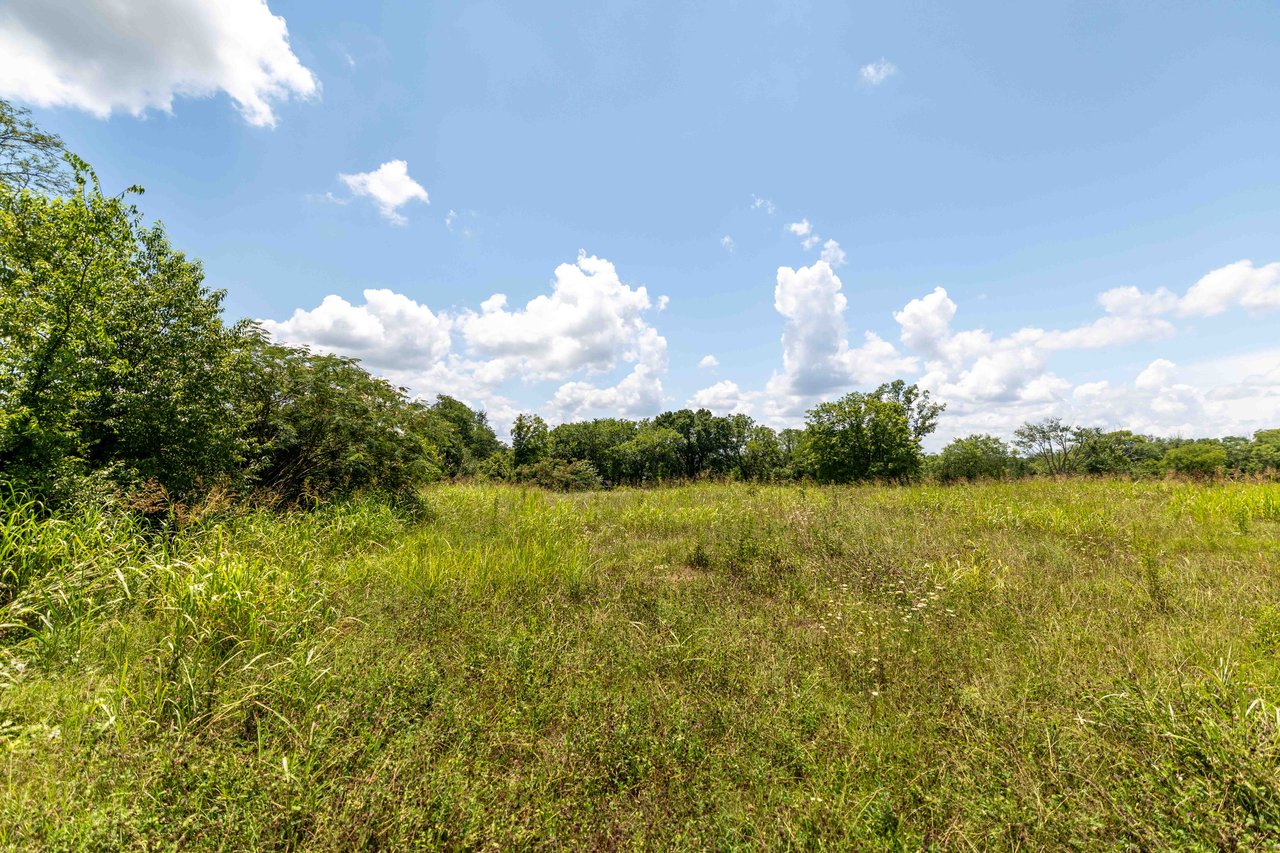 Open grassy homesite bordered by mature trees beneath a bright blue, cloud-filled sky.