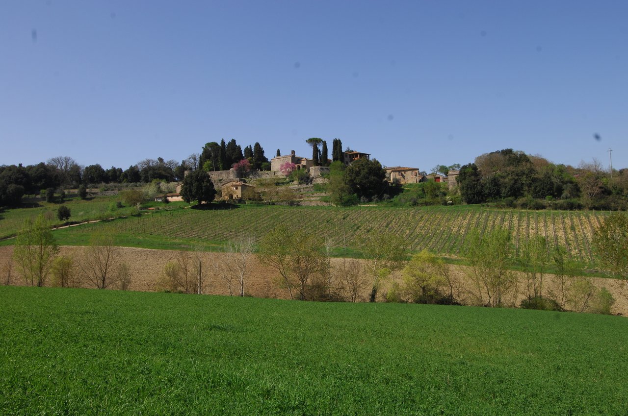Wine Estate in Sienna