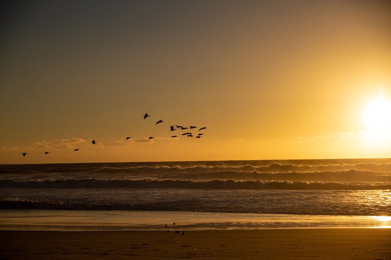 Moss Landing