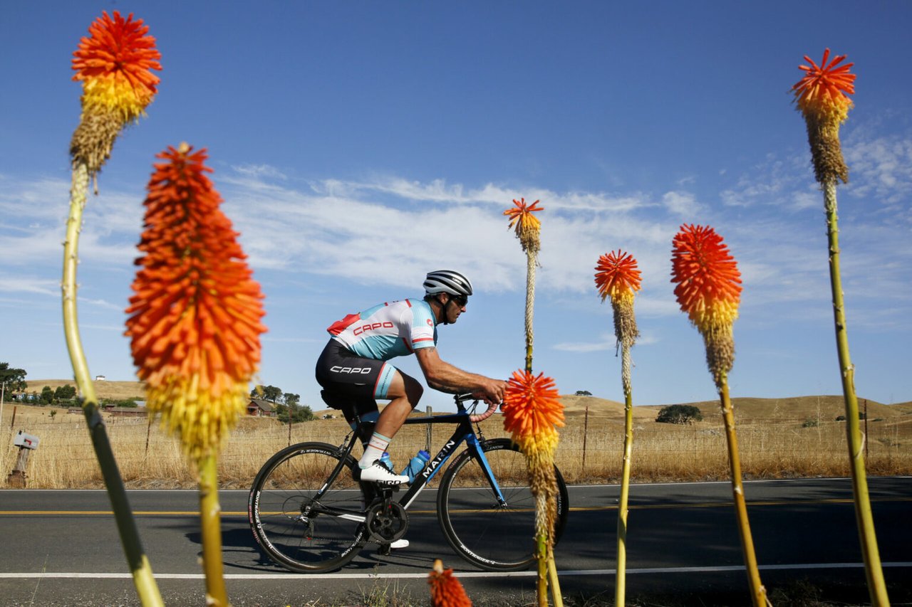 A Bucket List of Essential Things To Do in Sonoma County