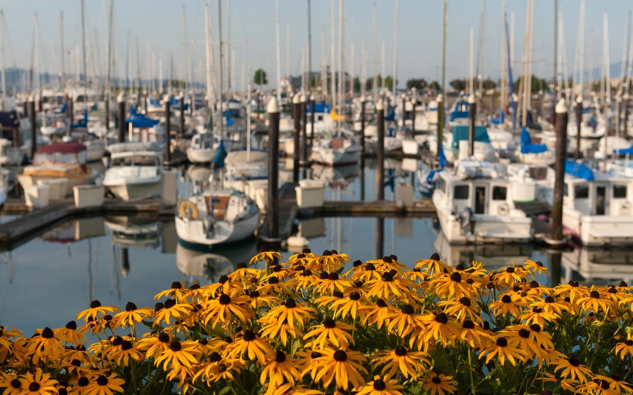 Gig Harbor