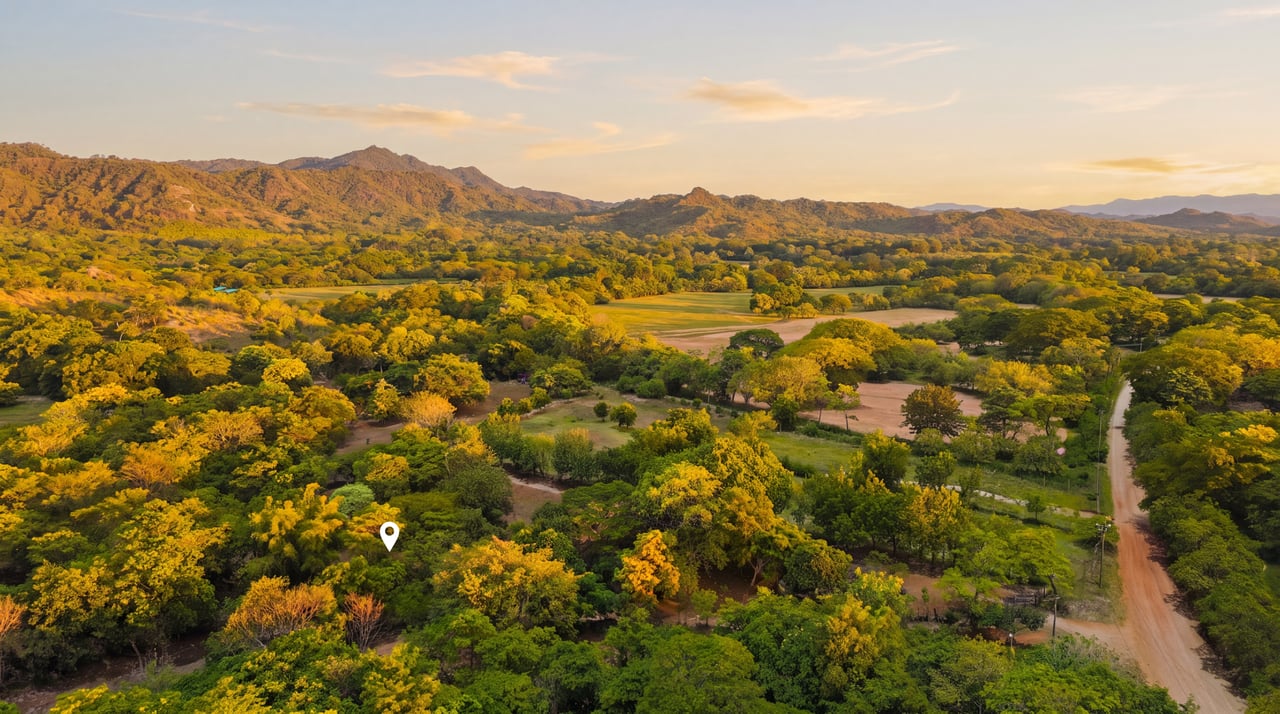 3.4 Acres of Quiet Country Living | 12 minutes from the Beach - Tempate 