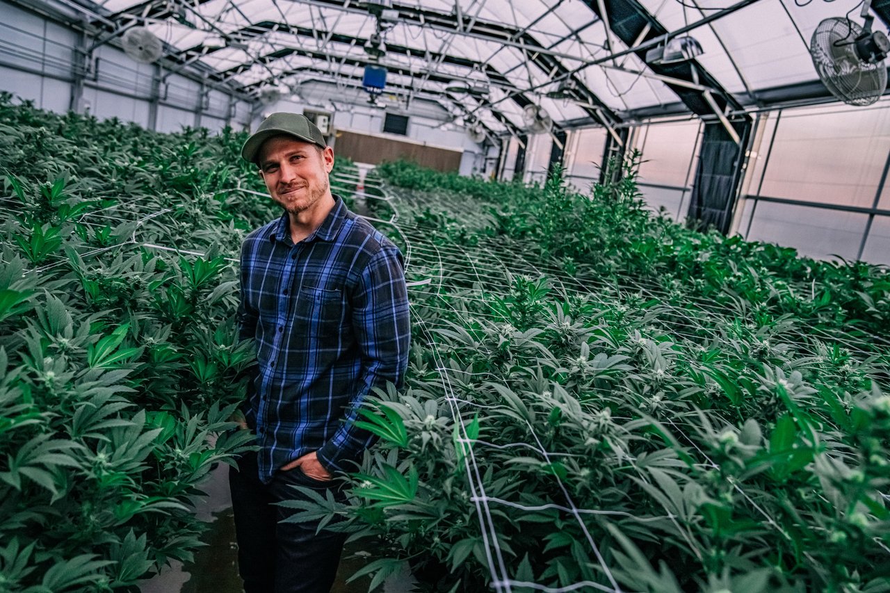 Michigan’s Legal Marijuana Connection to Rising Home Prices