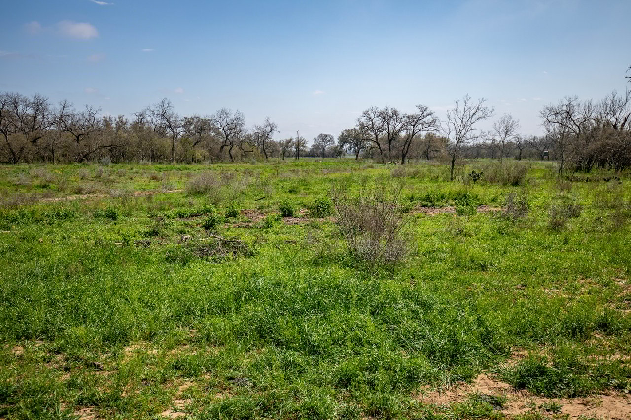 Dry Hollow Creek Ranch | 24.29± Acres | Bexar County