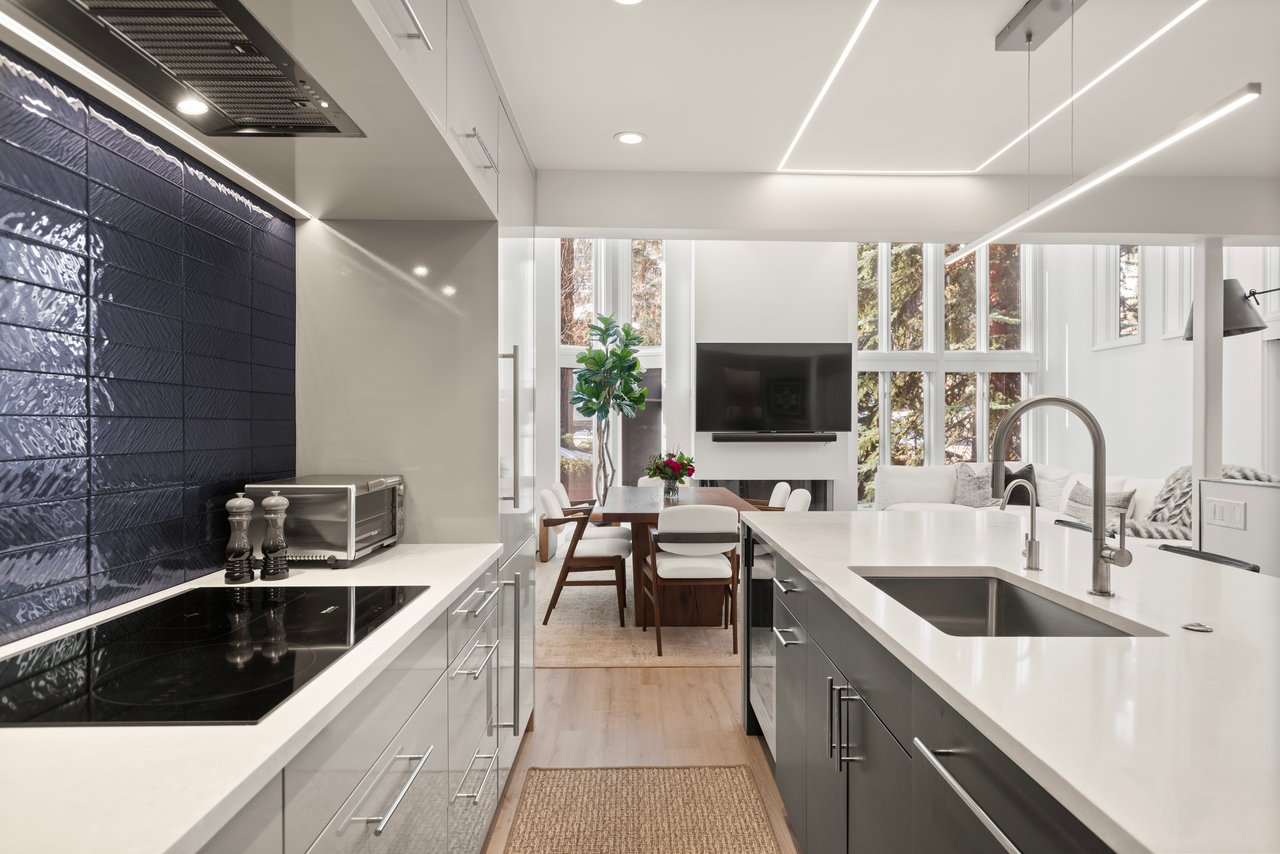 Newly Remodeled Core Condo with Aspen Mountain Views