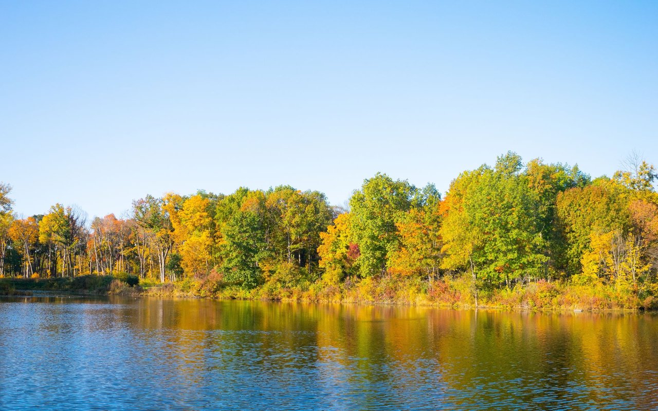 Lake in the Hills