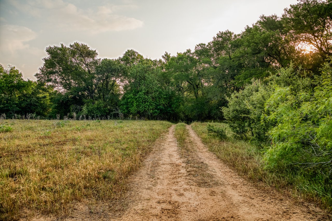 Revival Ranch TX