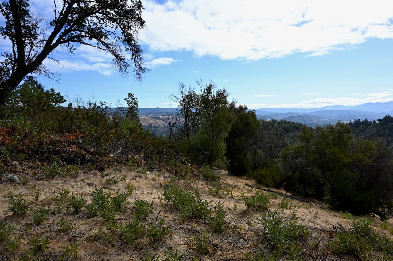 2910 Spring Mountain Rd