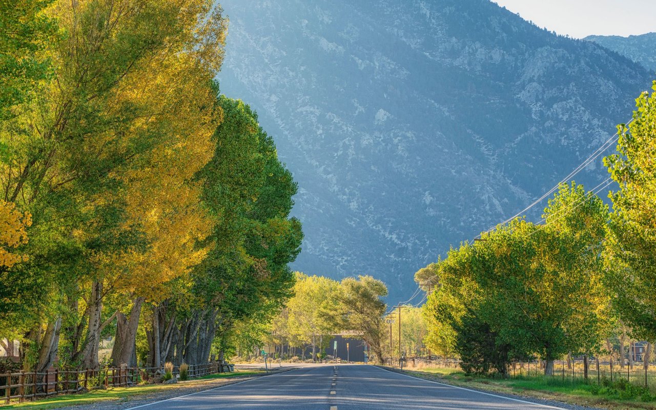 Gardnerville