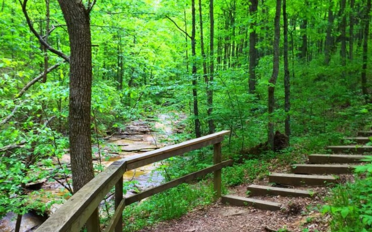 The Benefits of Living Near Parks and Green Spaces