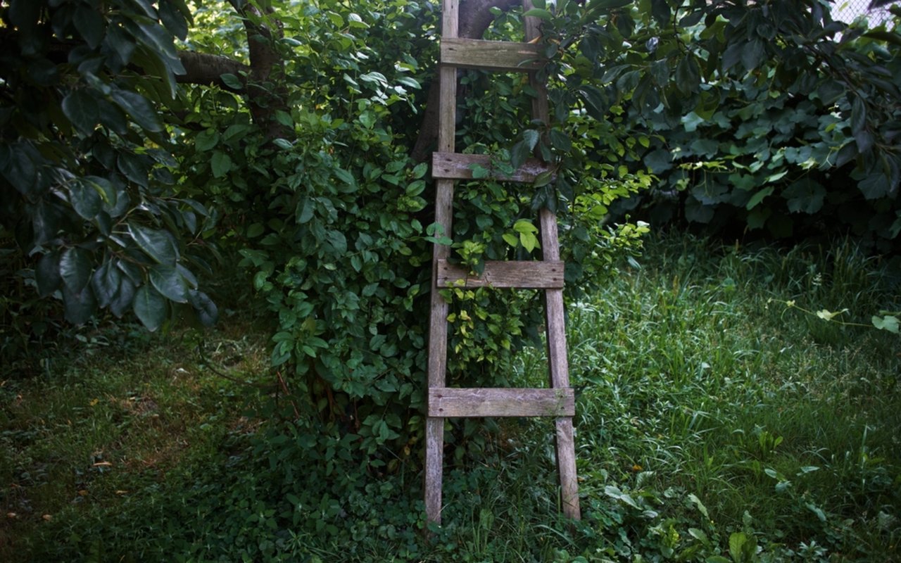 Repurposing Old Ladders: A Creative Storage Solution