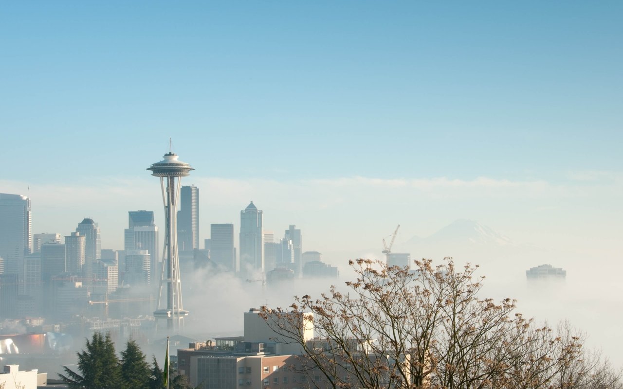 the seattle rennie review | January 2025