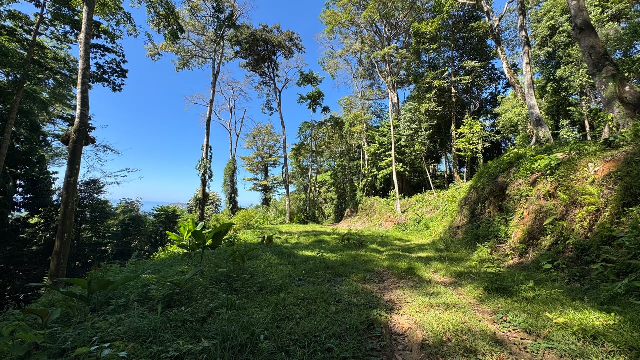 Two Ocean View Lots in Uvita – Easy Access and Large Building Sites