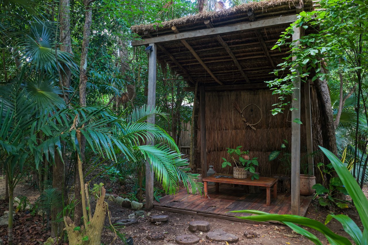 SELVATIK JUNGLE PODS 