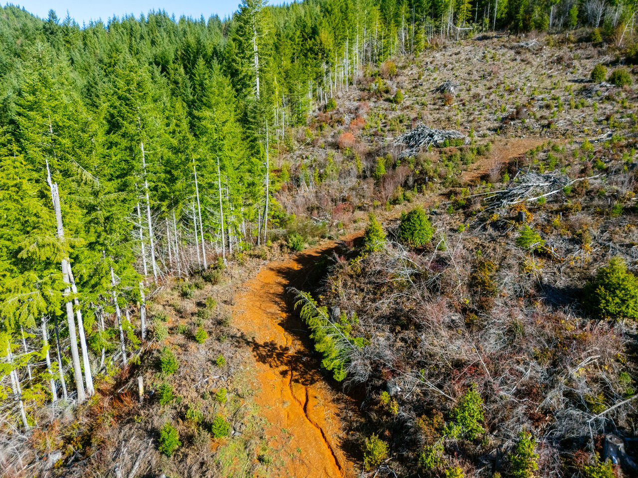 RICHARDSON TIMBER