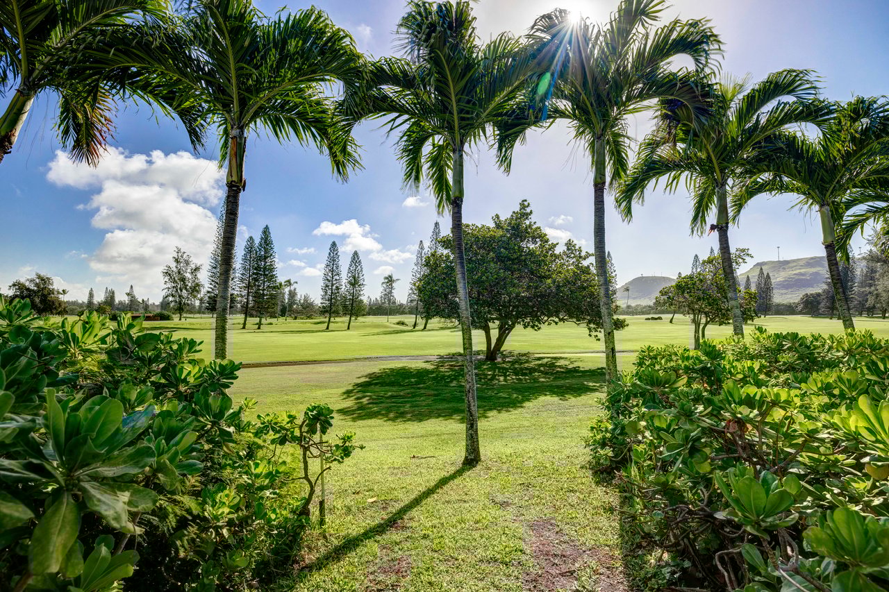 Turtle Bay Kuilima Collection 101 East