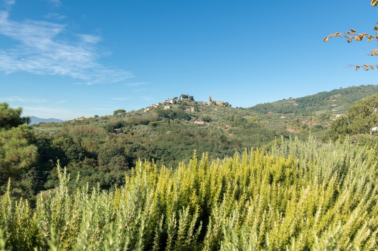 Fattori