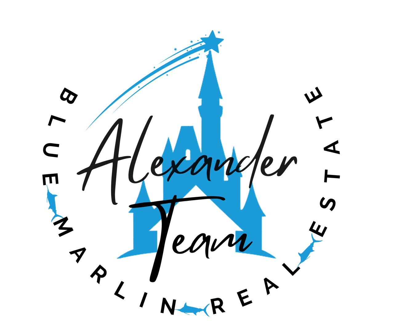 Disclaimer Image 2