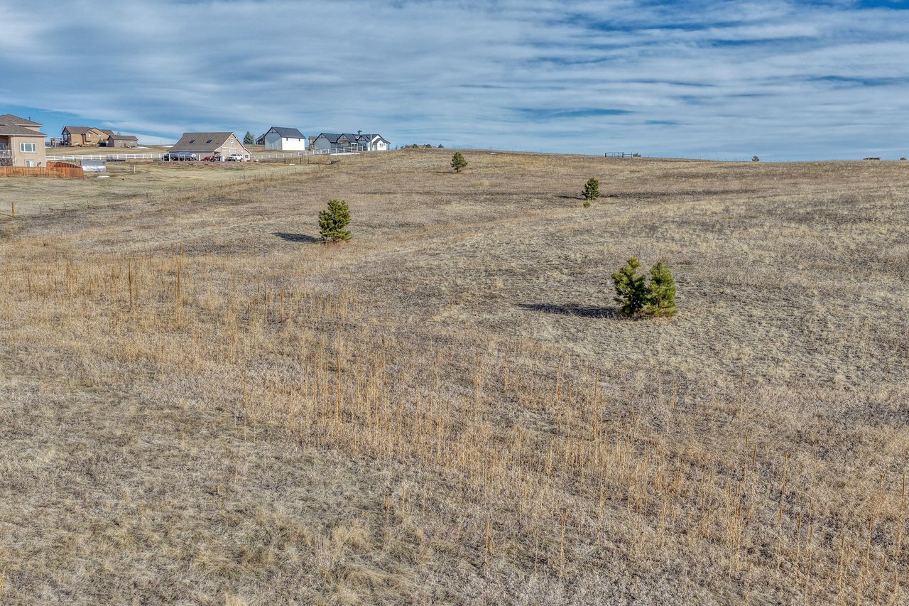 16670 Misfit Crew Heights