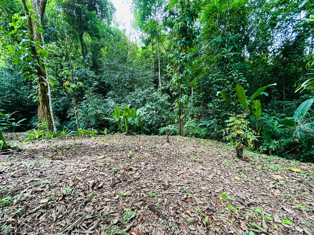 Fire Sale Investment Opportunity in Jardines del Morete | 2 Bed | 2 Bath Home with River Access