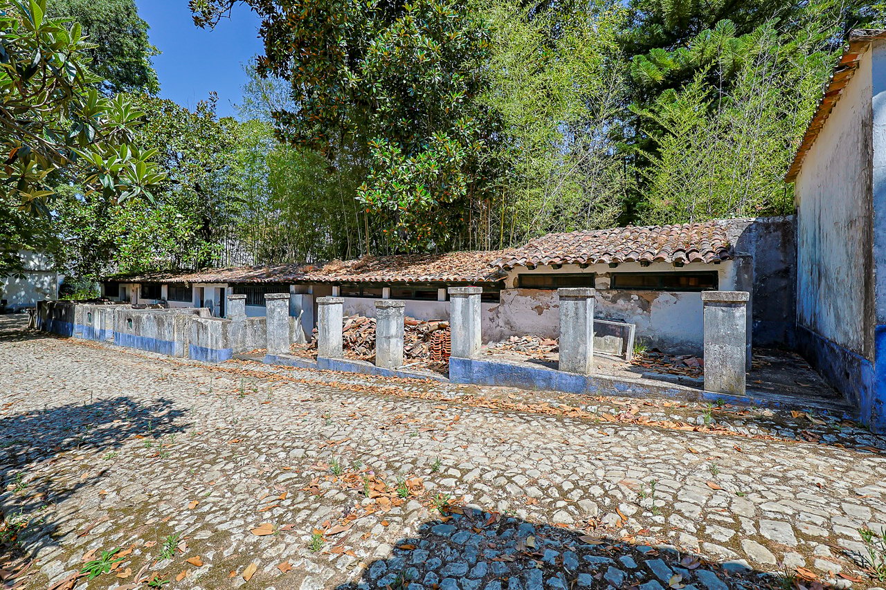 Magnificent 17th-Century Palace with  76,400 m² Estate Near Coimbra