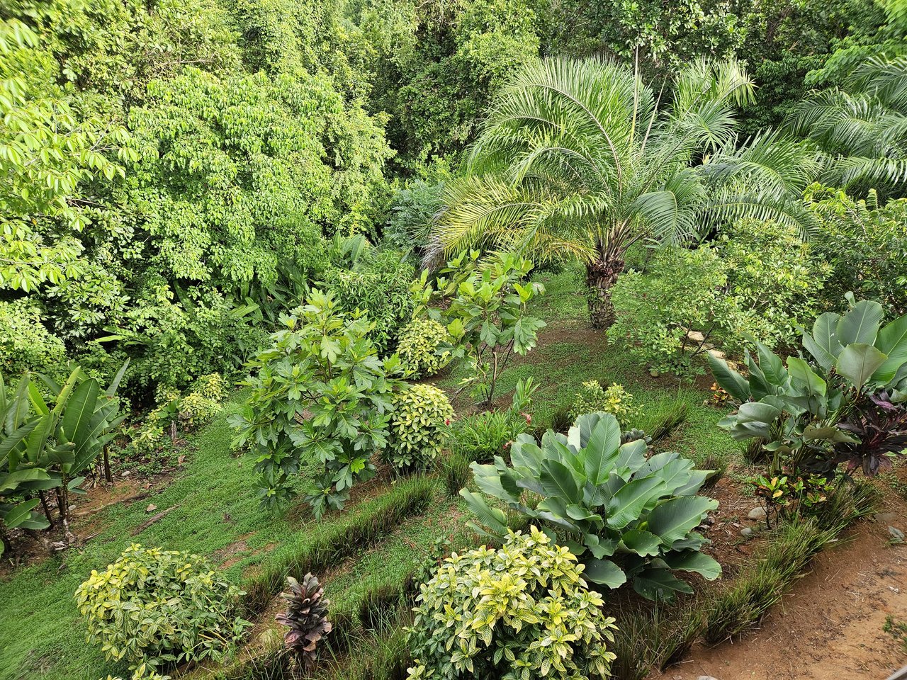 Beautiful sea view House Guesthouse and Pool in a gated Community close to awesome Beaches