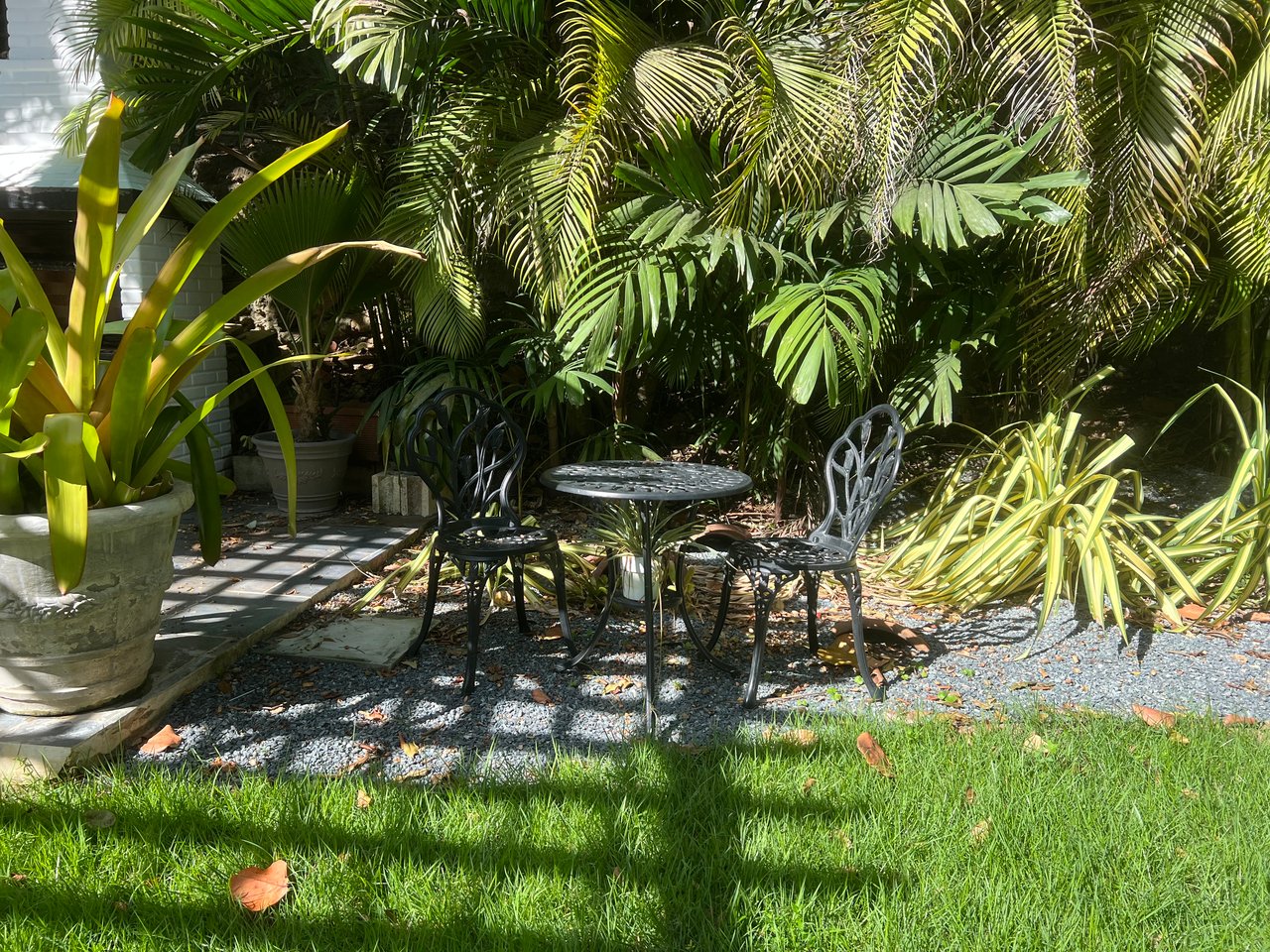 Beaches and walking trails...Cerro Gordo , Vega Alta