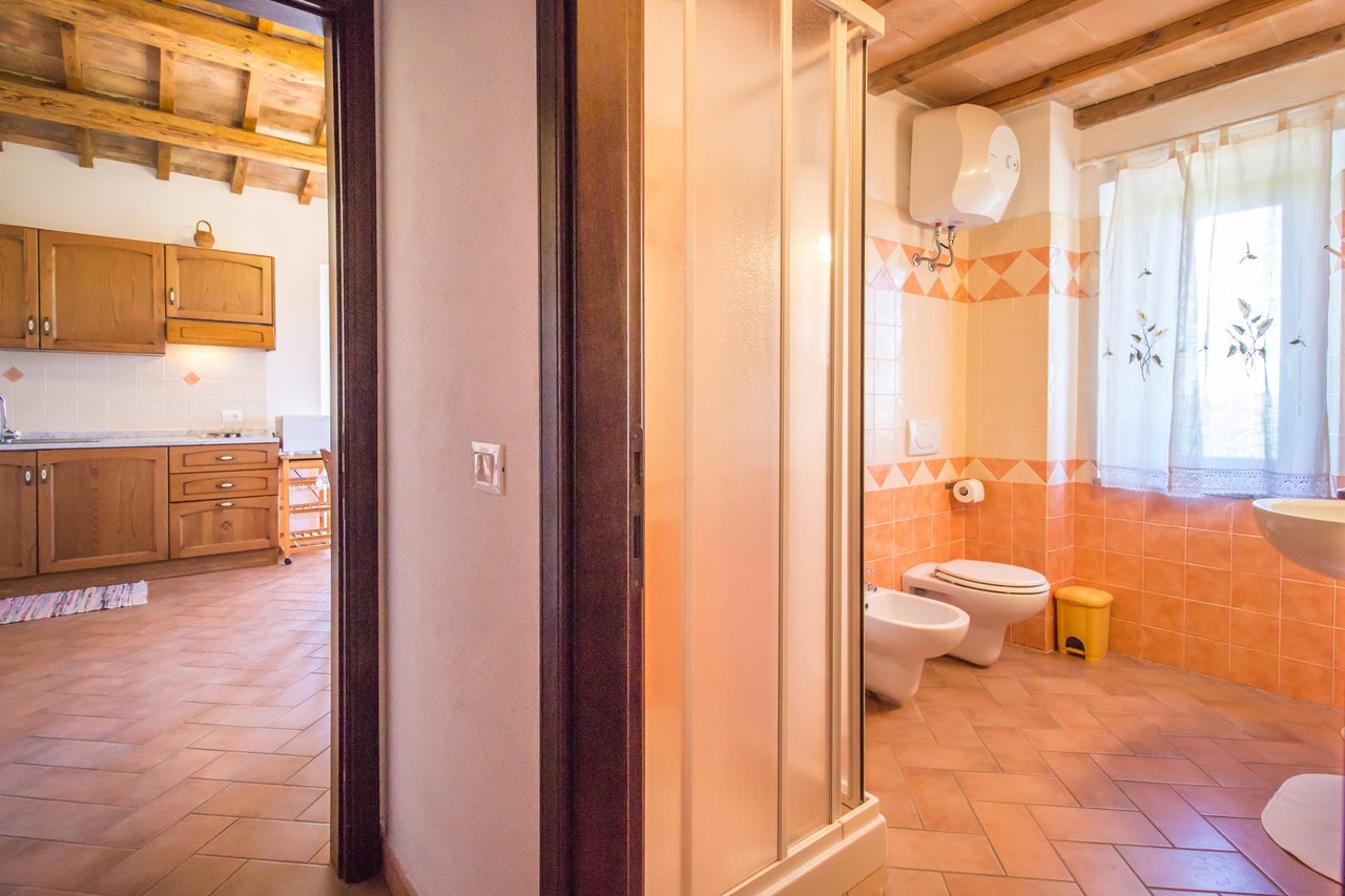 Organic Agriturismo in Cinigiano