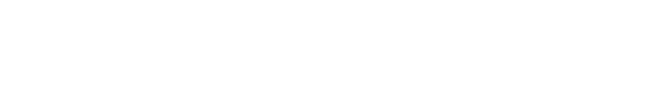 Light Logo